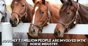 horse property for sale