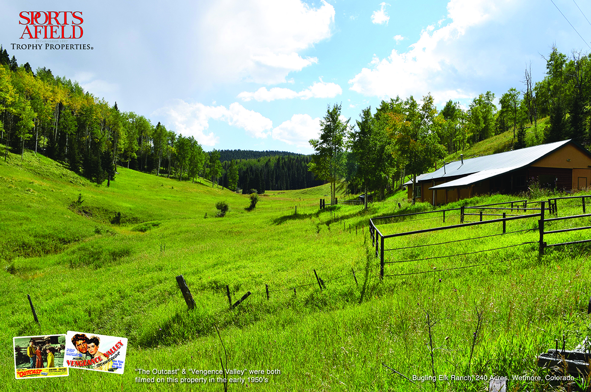 bugling_elk_ranch_movie_web